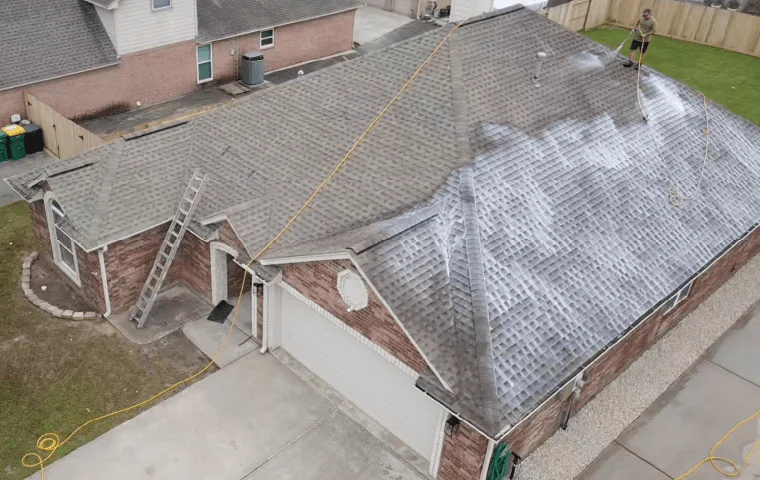 Eco-Friendly Shingle Rejuvenation