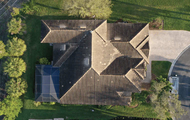 More Than Just Shelter